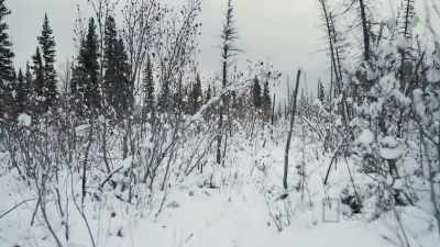 People can get
frostbite and even hypothermia, - Life Below Zero: First Alaskans