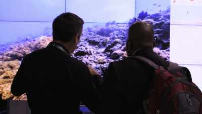 People were engaging with the imagery, - Chasing Coral
