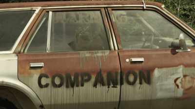 People paint them so survivors
will leave them alone. - Companion