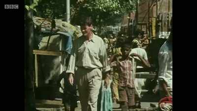 "People who stare at the camera,
the dripping humidity - Michael Palin: Travels of a Lifetime