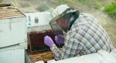 People talk about
the financial viability - The Pollinators