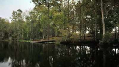 People used to come up in
boats - If I Leave Here Tomorrow: A Film About Lynyrd Skynyrd