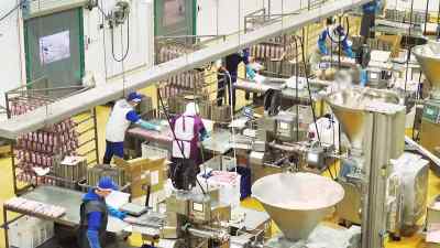 People who work in slaughterhouses - Pignorant