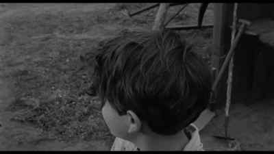 Pepe, Pepe, come in. - Terror in a Texas Town