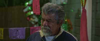 Perdóneme, señor Sanchez. - How the Gringo Stole Christmas