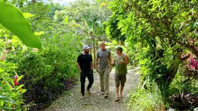 Perennials are things that are constantly
in fruit every year, like trees. - Down to Earth with Zac Efron