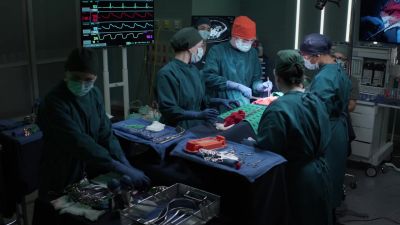 Performing a suture ligation with
two interrupted 2-0 vicryl sutures. - The Good Doctor
