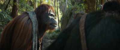Perhaps Caesar bids me travel. - Kingdom of the Planet of the Apes