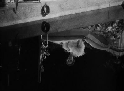 Perhaps you can tell me what I have been doing - Death Takes a Holiday