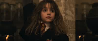 Perhaps, lt'd be more useful if I were to transfigure Mr. - Harry Potter and the Philosopher's Stone