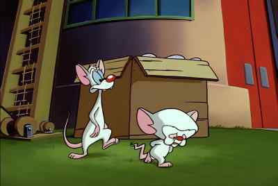 PERHAPS NO ONE
HEARD ME SAY-- - Pinky and the Brain