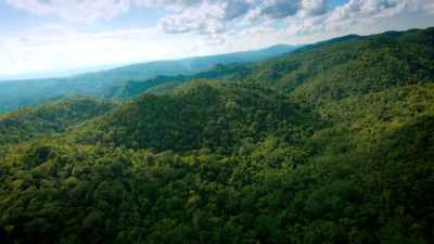 Perhaps revealing the secrets - Lost Treasures of the Maya
