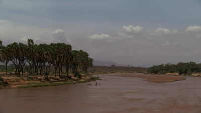 Perhaps richer pickings, - Chasing the Rains