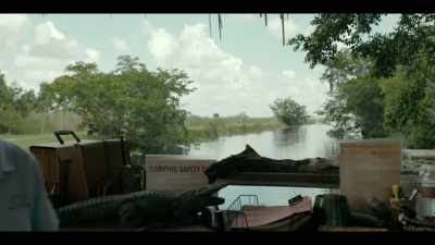 Perhaps you should have used
your vast powers to get here on time. - Justified: City Primeval