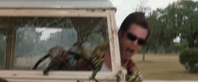 Perhaps we should slow down just a teensy bitNonsense poopy pants - Ace Ventura: When Nature Calls