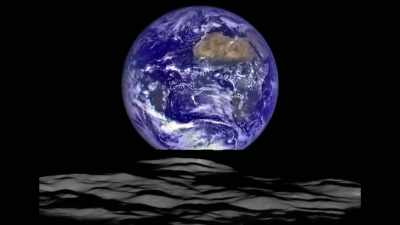 Perhaps, the non-human
intelligences, - Truth Hunter