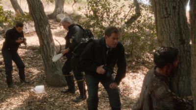Perhaps the stream
provided the water. - NCIS