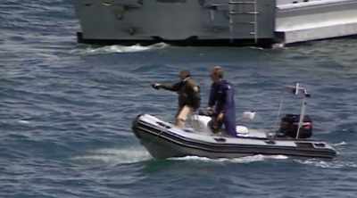 Perhaps these sharks were
the same two great whites - Shark Attack Files