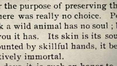 Perhaps you think
a wild animal has no soul, - The American Buffalo