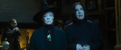 ...perhaps we should, for the time being... - Harry Potter and the Goblet of Fire