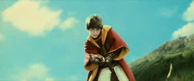 Perhaps you ought to go. - Harry Potter and the Philosopher's Stone