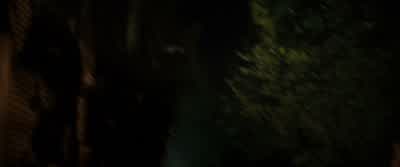 Perkins, was there a window open on your last perimeter check? - Scream 4