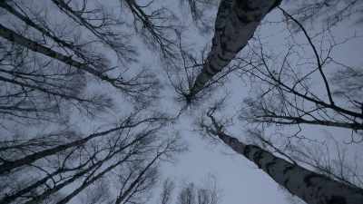 Pessimistically,
I'd like to say, - Life Below Zero: Next Generation