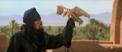 Pet bird. - The Mummy Returns