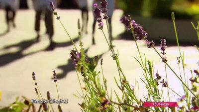 PETE: Let's go. Let's do it. - MasterChef Australia