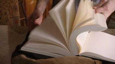 Pete O'Donnell please - American Pie Presents: The Book of Love