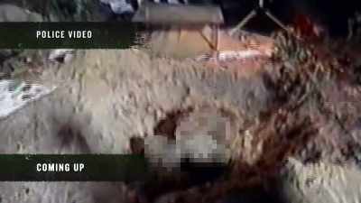 Pete: Once you stood back,
you could see - Buried In The Backyard