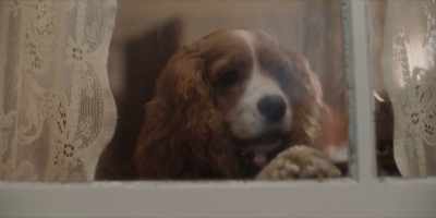 PETE: That's a good boy, Trusty.
Want some? - Lady and the Tramp