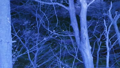 PETE: That's nothing FAA
that's pinging. - Beyond Skinwalker Ranch