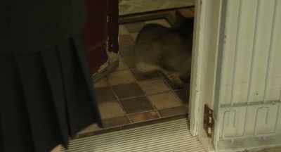 Pete, what are you doing in the cold? - The Door into Summer