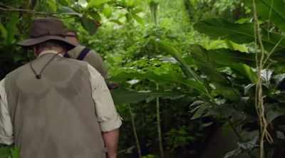 ‐ Peter and Brad
return to the turtle rock - Lost Gold of World War II