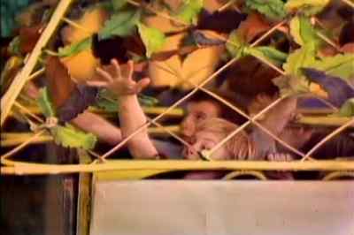     PETER, HOW DO WE GET OUT?    - Peter Pan