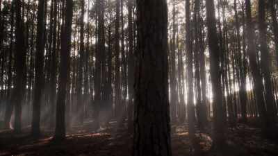 - PETER: I don't know
where I am or how I got here. - The Bureau of Magical Things
