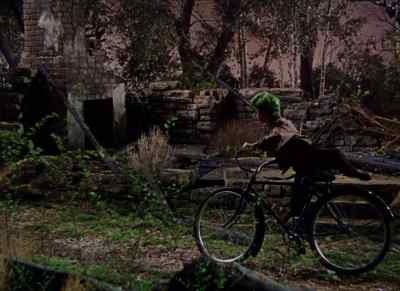 PETER:
I had to get away and think. - The Boy with Green Hair