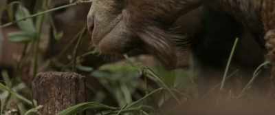 (Peter): Research has shown
that poverty is a big factor. - The Last Tourist