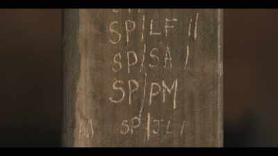 [Peter]  This proves to me
that Sara Pearson - American Vandal
