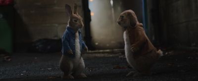Peter, what happened to you? - Peter Rabbit 2: The Runaway