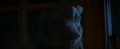 [petrifying music plays] - Shady Grove