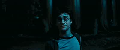- Pettigrew escaped. - Harry Potter and the Prisoner of Azkaban