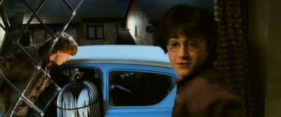 Petunia he's escaping - Harry Potter and the Chamber of Secrets