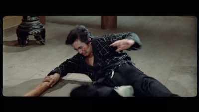 'Phase one is entirely dedicated
to Chieh Yuan, - The Final Game of Death