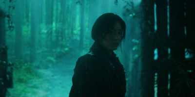 Pheasants, deer, rabbits… - Kingdom: Ashin of the North