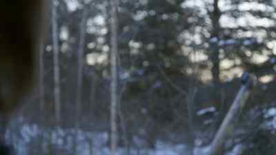 PHEW, SIX BIRDS. - The Last Alaskans