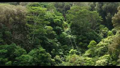 [Phil] If you hadn't already guessed,
I'm going zip-lining. - Somebody Feed Phil