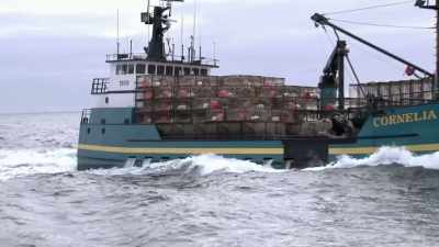 [phil]  these crabs have gas - Deadliest Catch: Bloodline
