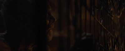 Phoenix! - Don't Breathe 2